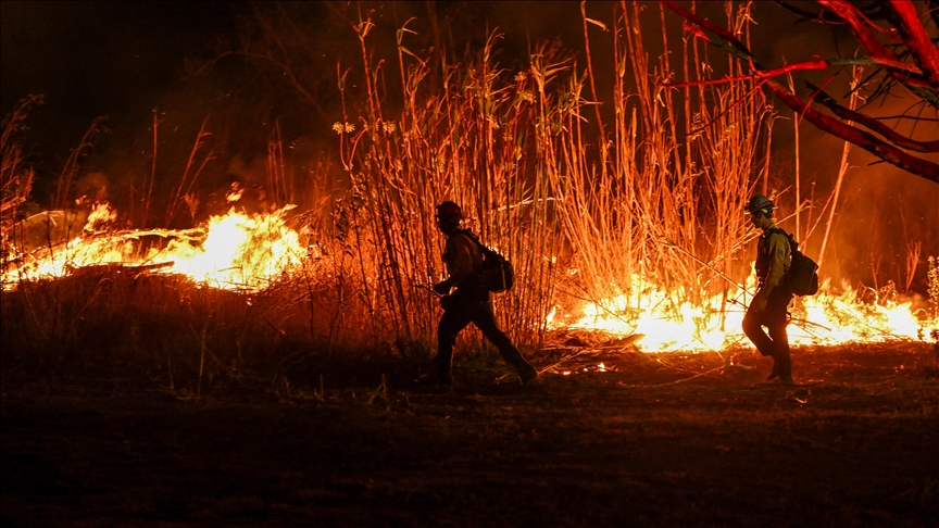 Kebakaran Hutan Los Angeles Sejam Habisi 500 Hektar